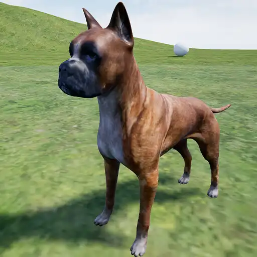 Play Happy Boxer Dog Simulator APK Play Happy Boxer Dog Simulator APK