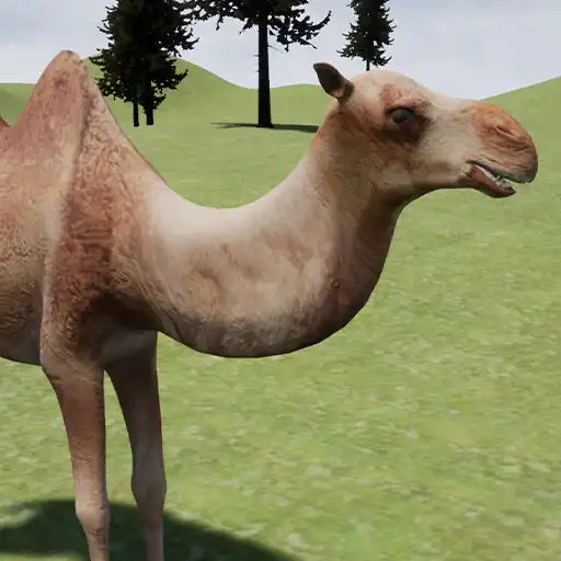 Play Happy Camel Simulator APK Play Happy Camel Simulator APK