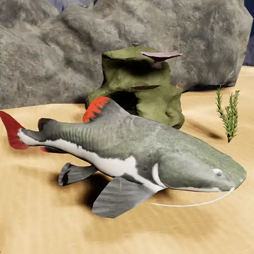 Play Happy Catfish Simulator APK Play Happy Catfish Simulator APK