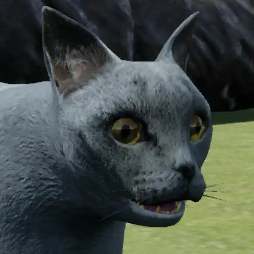 Play Happy Cat Simulator APK Play Happy Cat Simulator APK