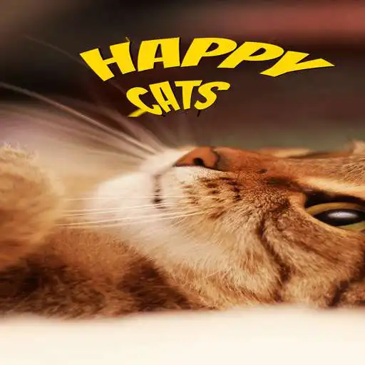 Play Happy cats wallpapers APK