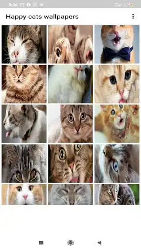 Play Happy cats wallpapers as an online game Happy cats wallpapers with UptoPlay