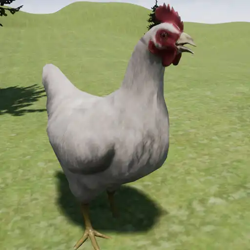 Play Happy Chicken Simulator APK