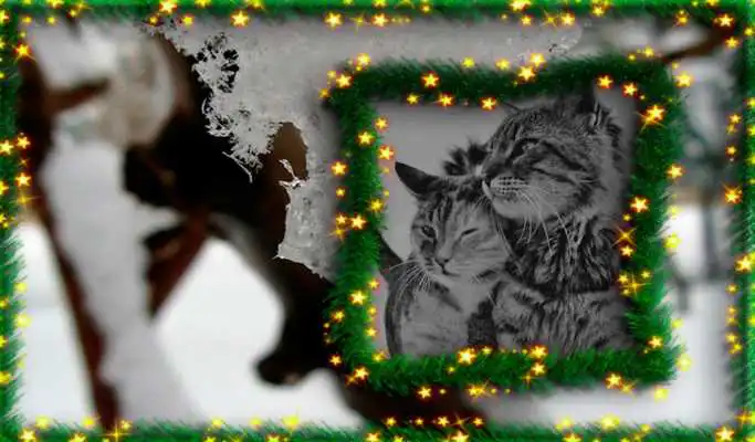 Play Happy Christmas Frames Photo
