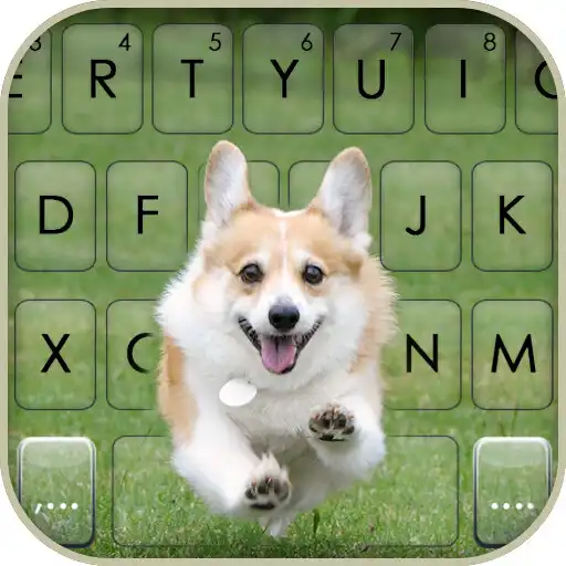 Play Happy Corgi Keyboard Background APK