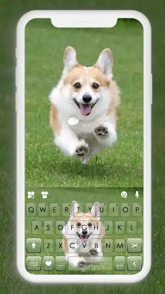 Play Happy Corgi Keyboard Background and enjoy Happy Corgi Keyboard Background with UptoPlay Play Happy Corgi Keyboard Background and enjoy Happy Corgi Keyboard Background with UptoPlay