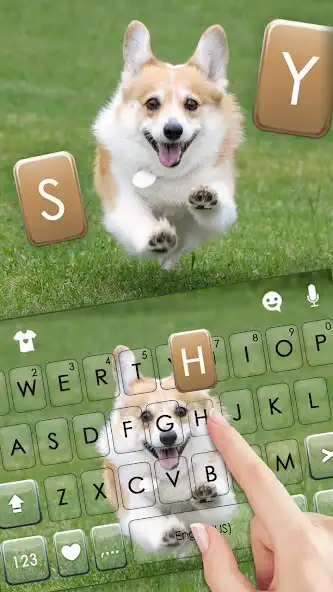 Play Happy Corgi Keyboard Background as an online game online Happy Corgi Keyboard Background with UptoPlay Play Happy Corgi Keyboard Background as an online game Happy Corgi Keyboard Background with UptoPlay