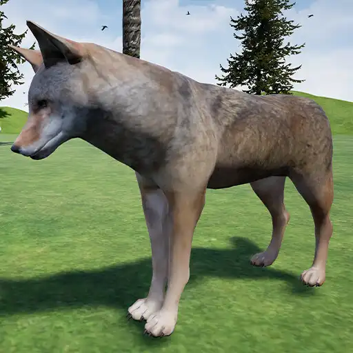 Play Happy Coyote Simulator APK Play Happy Coyote Simulator APK