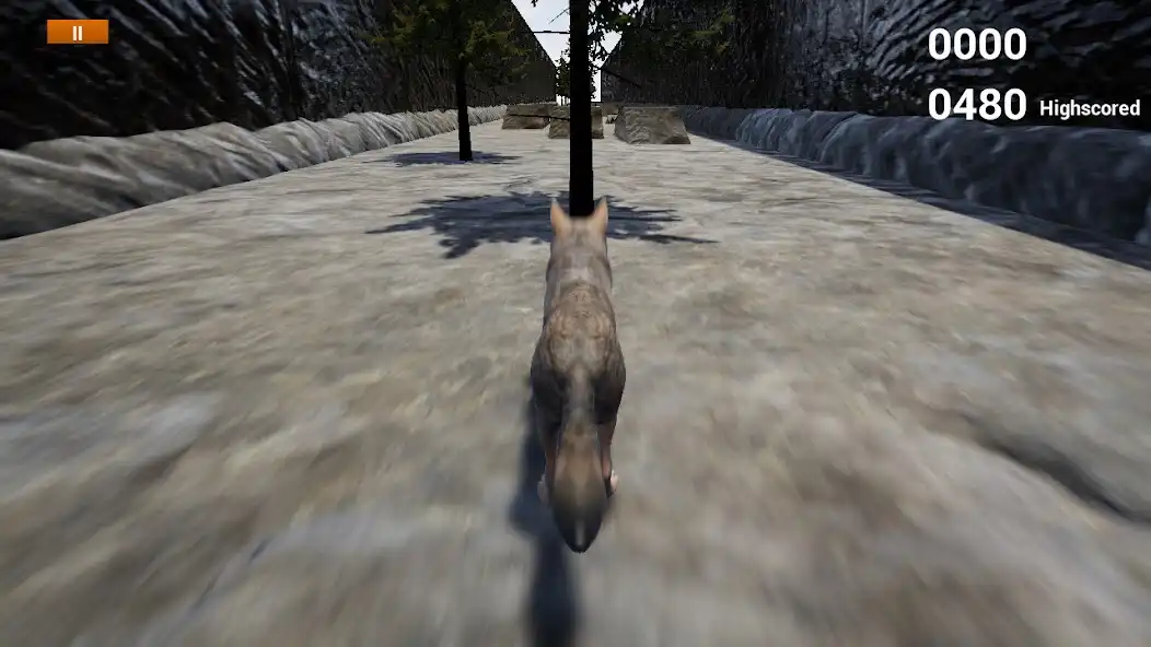 Play Happy Coyote Simulator  and enjoy Happy Coyote Simulator with UptoPlay