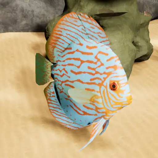 Play Happy Discus Fish Simulator APK Play Happy Discus Fish Simulator APK