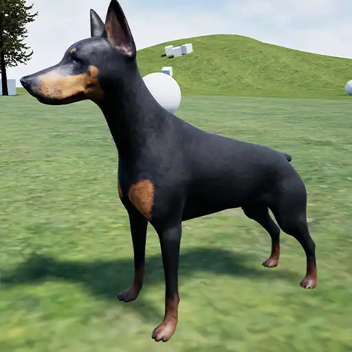 Play Happy Doberman Dog Simulator APK Play Happy Doberman Dog Simulator APK