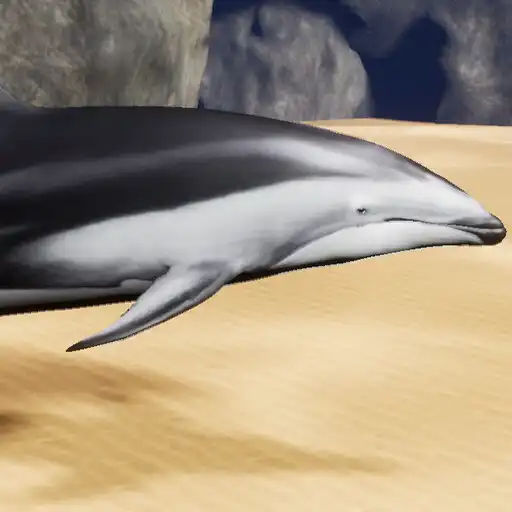 Play Happy Dolphin Simulator APK Play Happy Dolphin Simulator APK