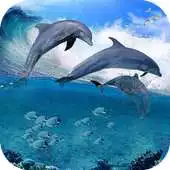 Free play online Happy Dolphins Live Wallpaper APK Free play online Happy Dolphins Live Wallpaper APK