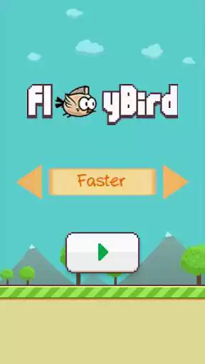 Play Happy Flying Bird