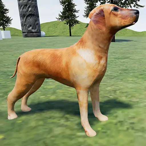 Play Happy Lambert Dog Simulator APK