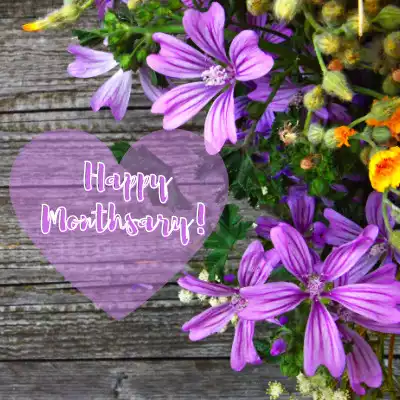 Play APK Happy Monthsary Wishes  and enjoy Happy Monthsary Wishes with UptoPlay com.infinityappstudio.happymonthsarywishes