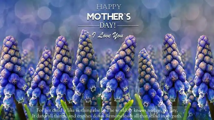 Play Happy Mothers Day Cards 2019
