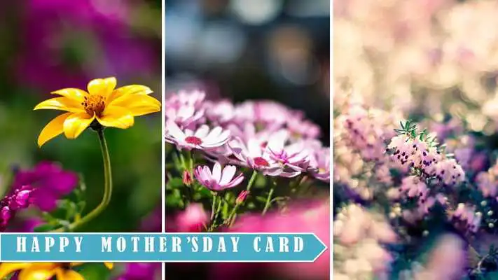 Play Happy Mothers Day Cards 2019