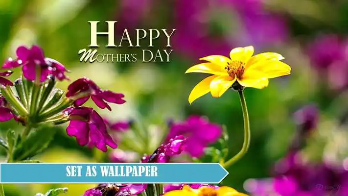 Play Happy Mothers Day Cards 2019