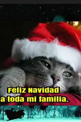 Play Happy new year 2019 Christmas phrases 2019