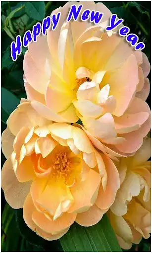 Play Happy New Year Wallpapers Play Happy New Year Wallpapers