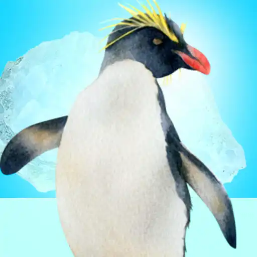 Play Happy Penguin Simulator APK Play Happy Penguin Simulator APK