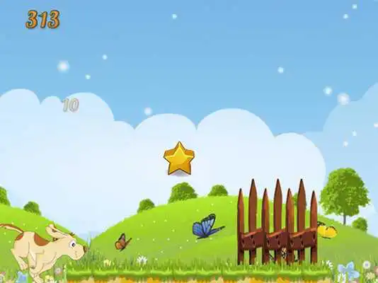 Play Happy Pets Run
