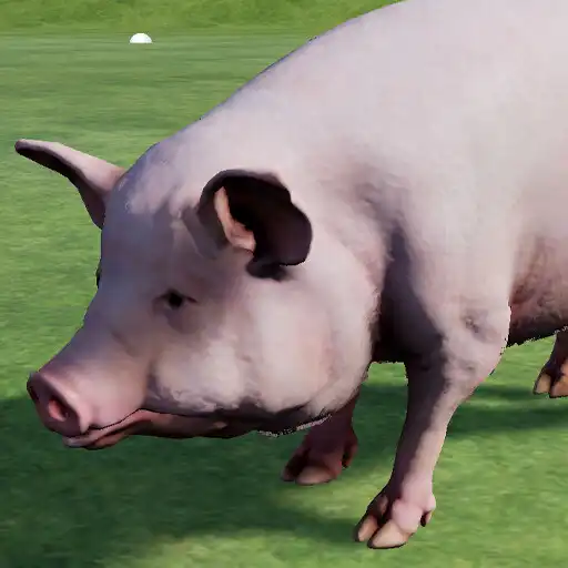 Play Happy Pig Simulator APK Play Happy Pig Simulator APK