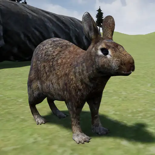 Play Happy Rabbit Simulator APK