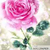 Free play online Happy rose day live wallpaper APK Free play online Happy rose day live wallpaper APK