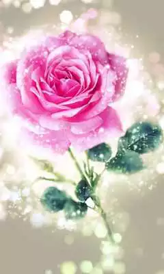 Play Happy rose day live wallpaper