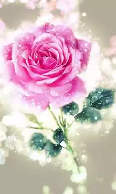 Play Happy rose day live wallpaper