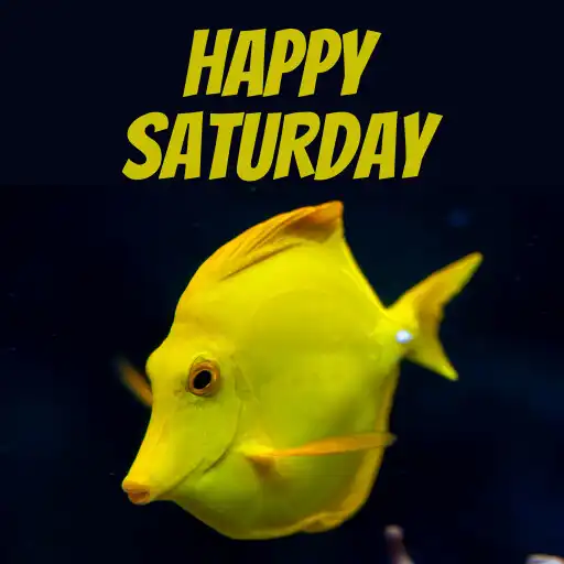 Play happy saturday images APK Play happy saturday images APK
