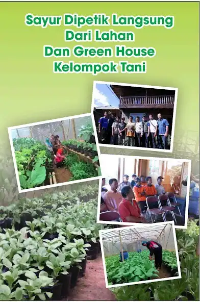 Play Happy Sayur Salatiga as an online game online Happy Sayur Salatiga with UptoPlay Play Happy Sayur Salatiga as an online game Happy Sayur Salatiga with UptoPlay