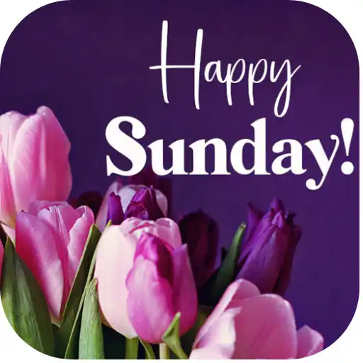 Run free android online Happy Sunday APK Run free android online Happy Sunday APK