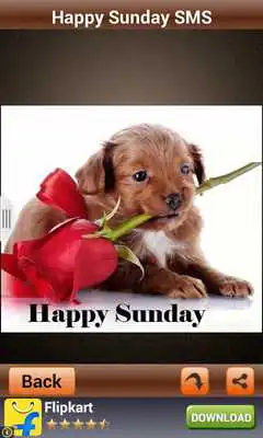 Play Happy Sunday Wishes And Images