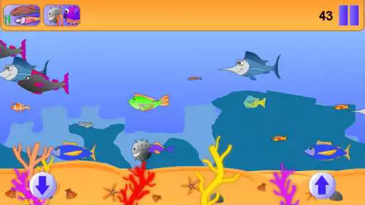 Play Happy the Shark