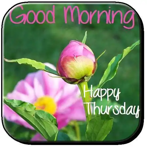 Play happy thursday APK