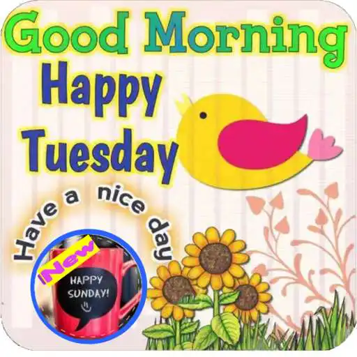 Run free android online Happy Tuesday Good Morning, Sunday Morning APK