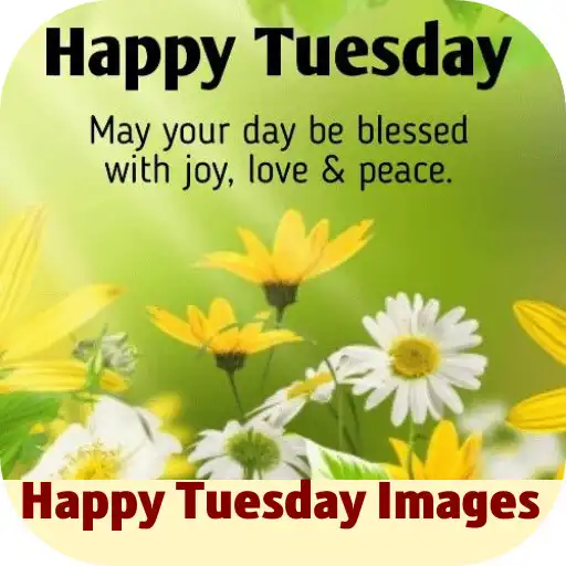 Play happy tuesday images APK Play happy tuesday images APK
