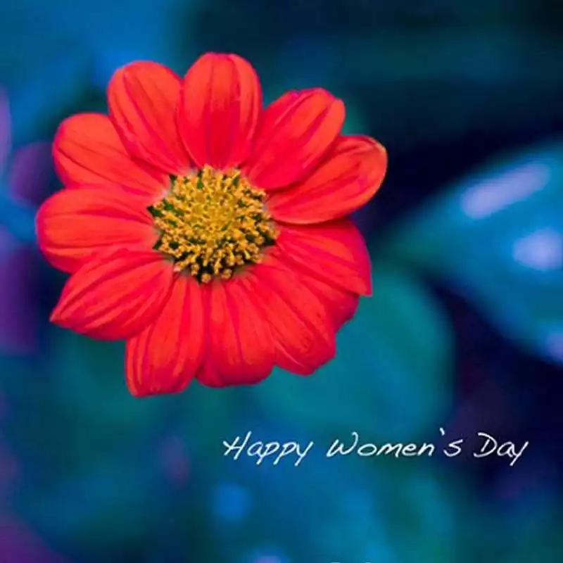 Play happy womens day quotes 2018
