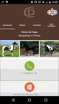 Play Haras do Capu
