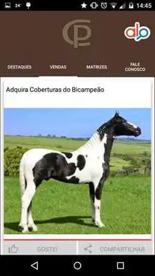 Play Haras do Capu
