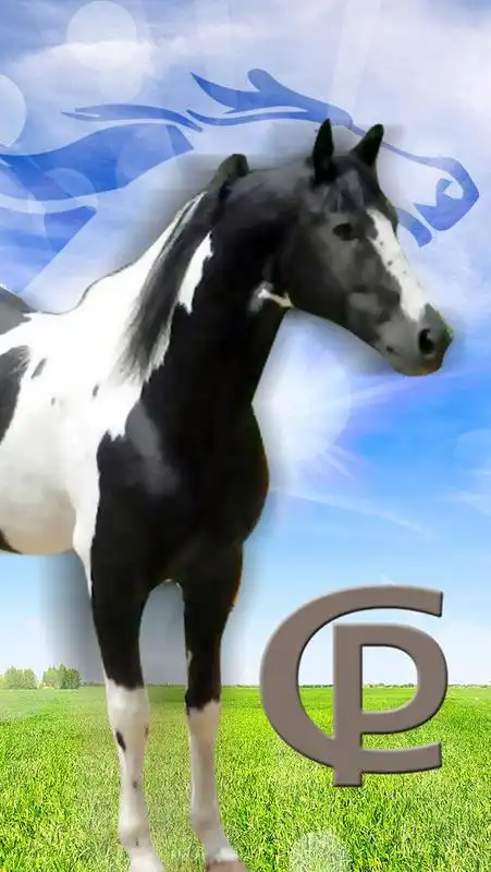 Play Haras do Capu