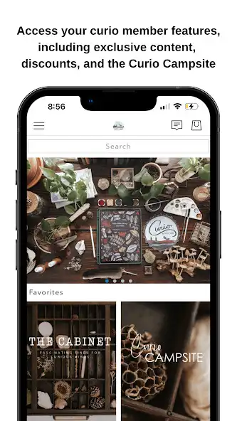 Play Harbor and Sprout  and enjoy Harbor and Sprout with UptoPlay