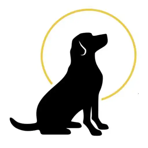 Play Harbor Springs Vet APK