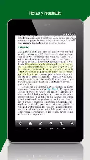 Play Harrison 19 Parte 12  and enjoy Harrison 19 Parte 12 with UptoPlay