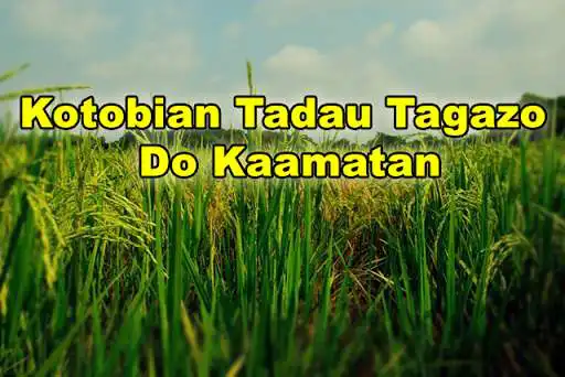 Play Harvest Festival Cards and enjoy Harvest Festival Cards with UptoPlay Play Harvest Festival Cards and enjoy Harvest Festival Cards with UptoPlay