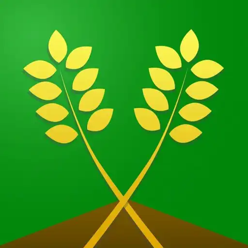 Play Harvest Rush APK