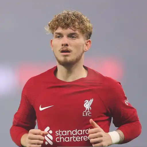 Play Harvey Elliott 4K Wallpapers APK